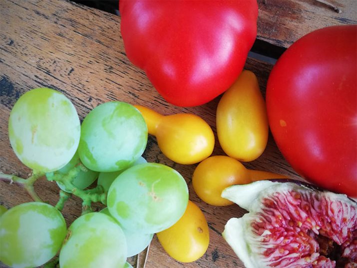 Essentials for a healthy plant-based vegan pregnancy diet