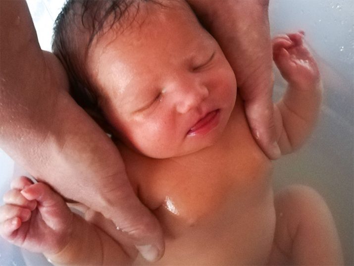 Placenta How to use it in a holistic way